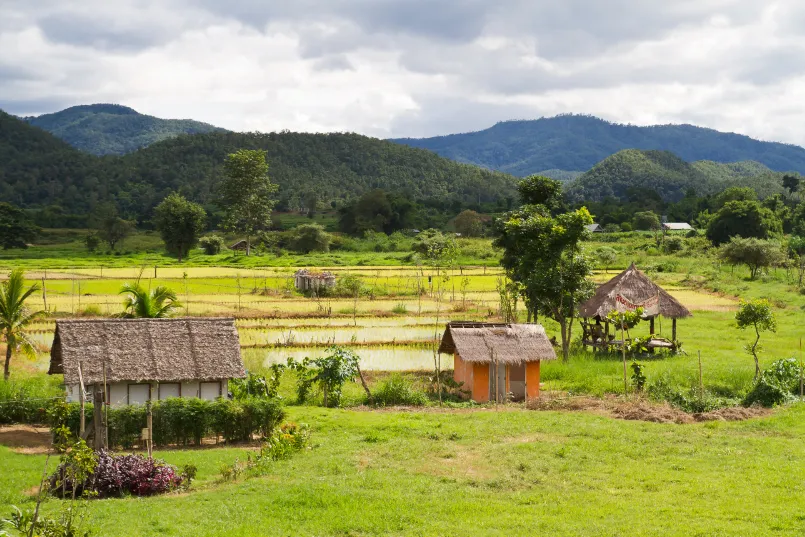 Thailand Mae Hong Son veld 