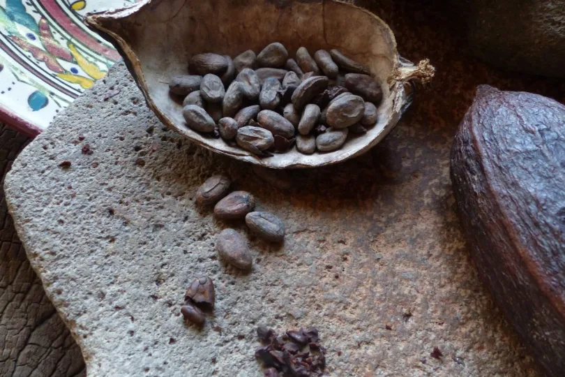 Rondreis Nicaragua koffieproductie