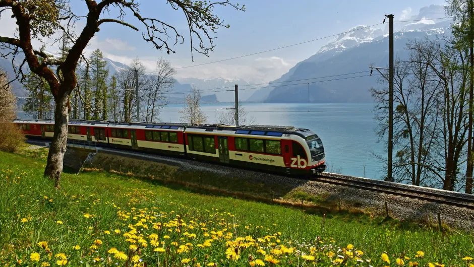 Reis Zwitserland per trrein Golden Pass Line