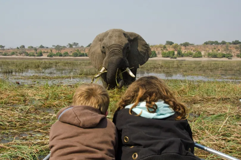 olifant met toeristen