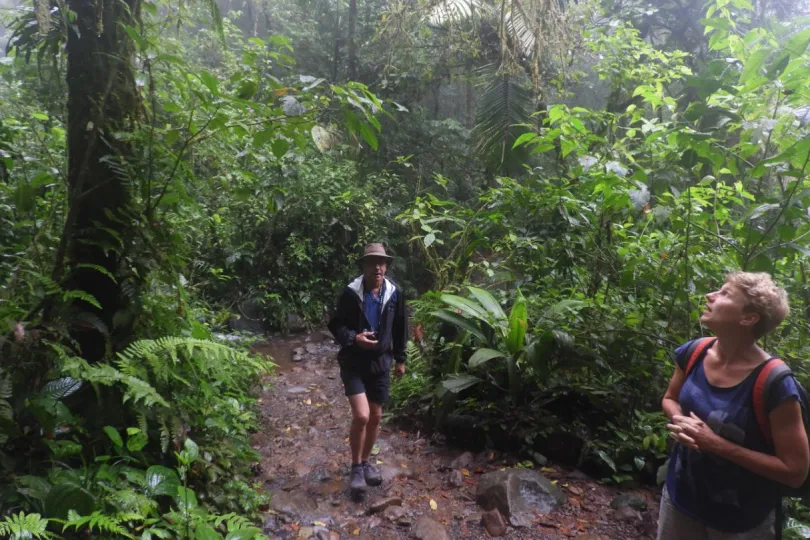 Familiereis Costa Rica wandelen in de jungle