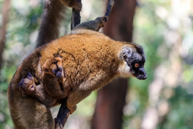 Madagaskar Bezienswaardigheden