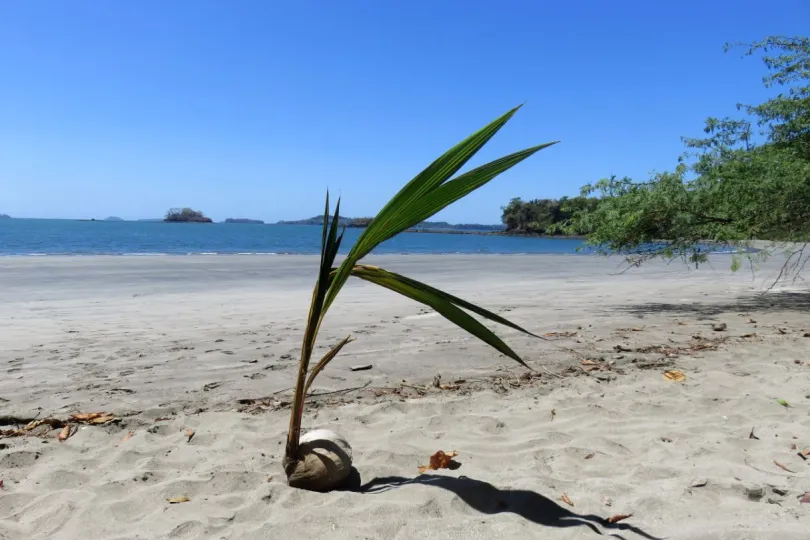 Mooiste stranden Panama Boca Brava