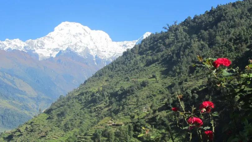 Nepal Annapurna Base Camp trek