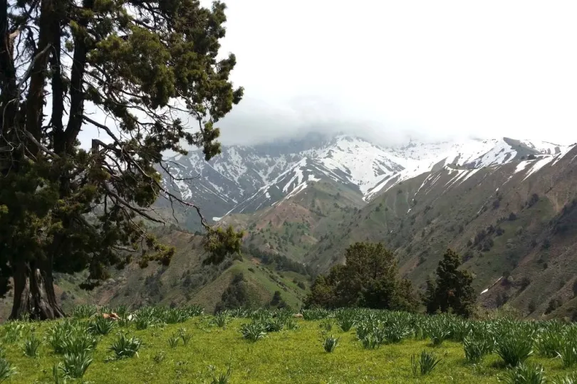 Oezbekistan reis Chimgan mountains