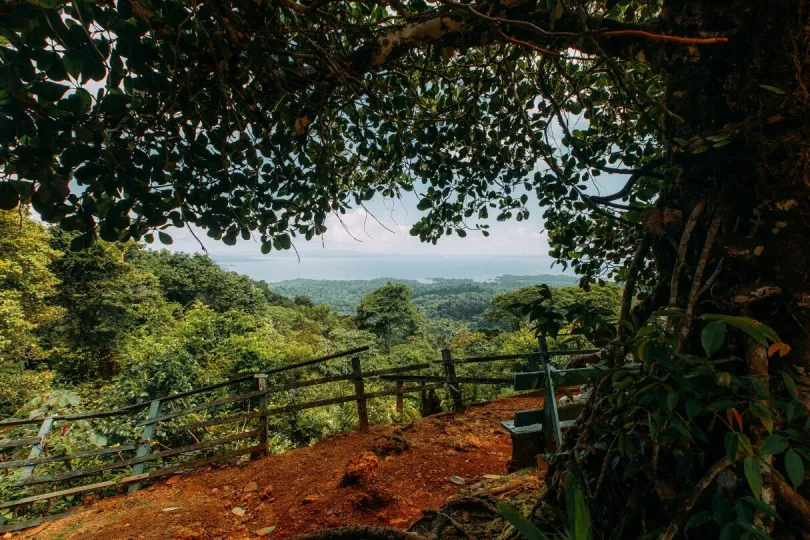 Suriname Reise: Ausblick vom Brownsberg