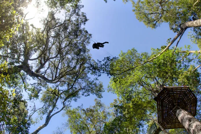 Excursies Zuid-Afrika Tsitsikamma canopy