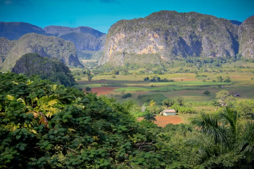 Cuba met chauffeur Viñales