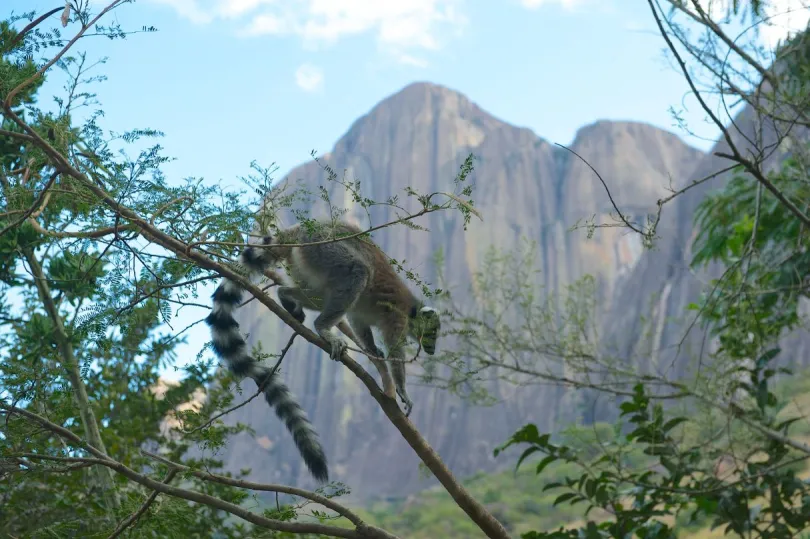 Madagaskar Andringitra