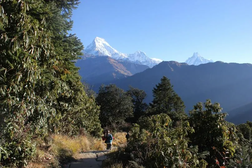 Nepal Helambu trekking