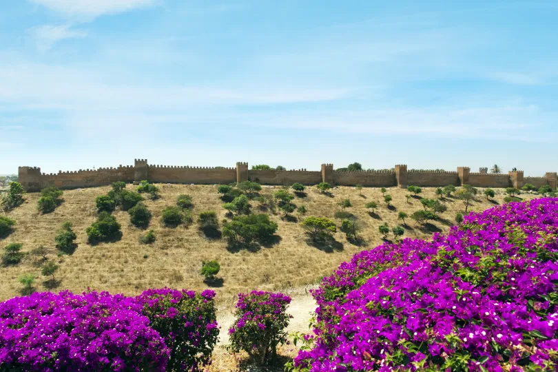 Marokko bloemen en stadsmuur