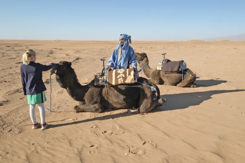 Interactie met de kamelen in Marokko