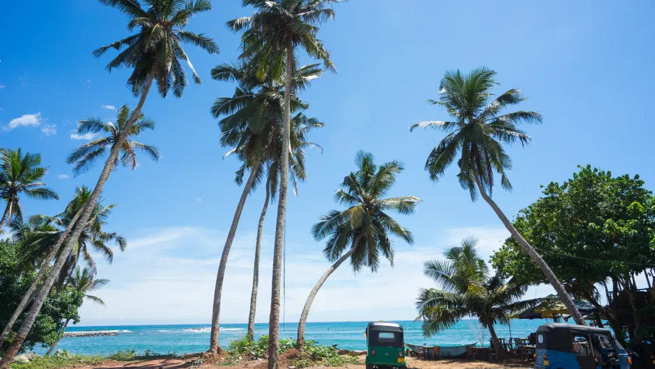 Sri Lanka Strand