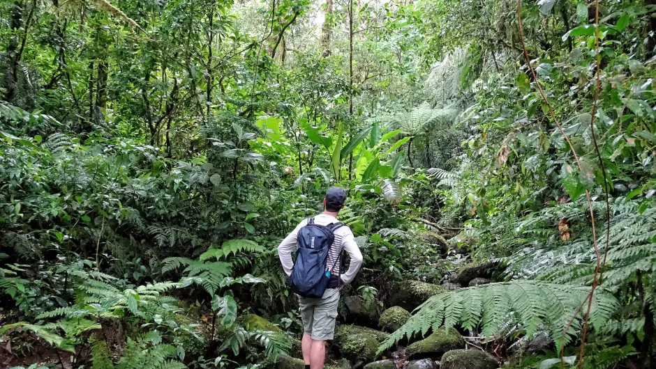 Vakantie Costa Rica Manuel Antonio park