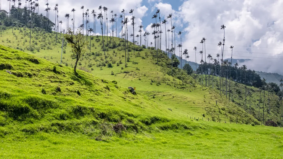 Duurzaam reizen Colombia