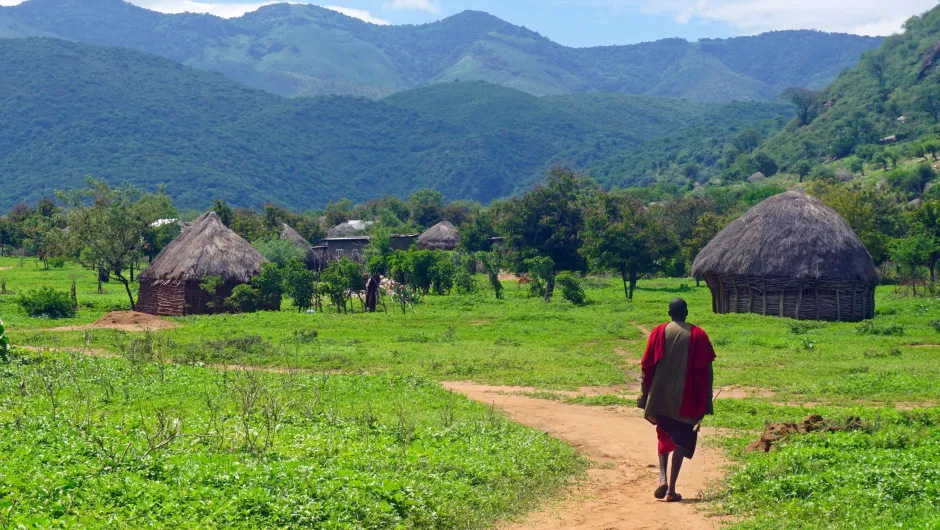 Maasai local