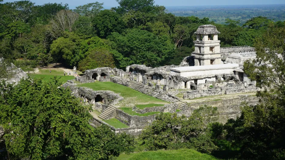 Rondreis Mexico 3 weken - Palenque