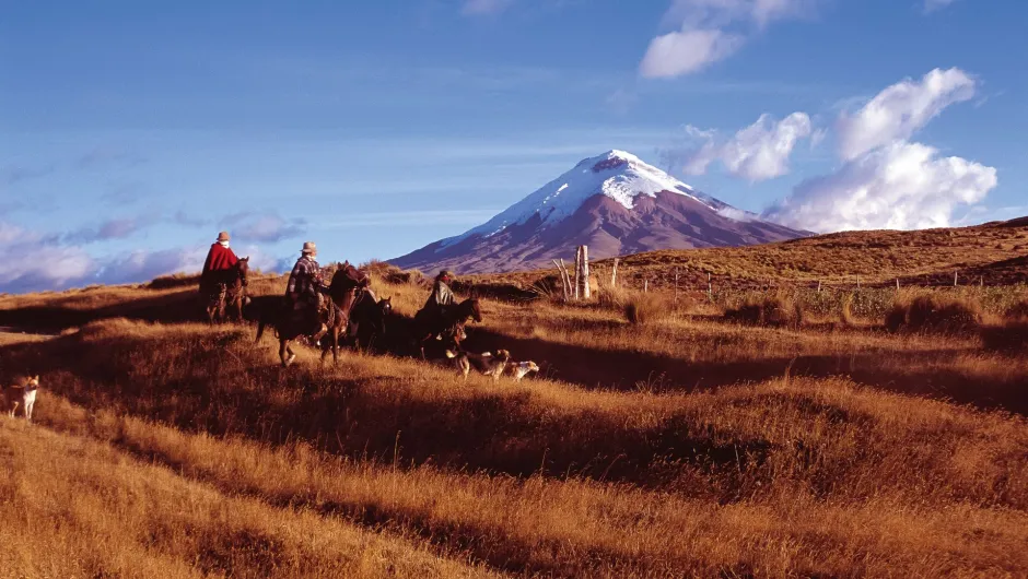 Ecuador Cotopaxi 