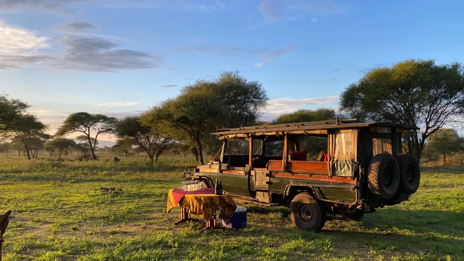 Luxe Tanzania reis safari Tarangire