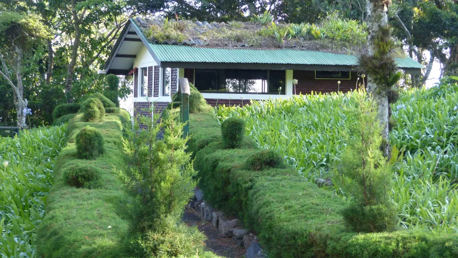 Nicaragua Selva Negra Lodge