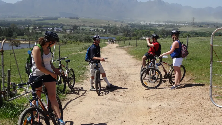 Zuid-Afrika reiservaringen, wijntocht op de fiets.