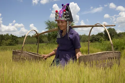 Bergvolkeren Akha Thailand