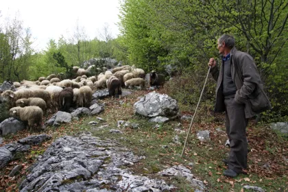 Boerderij Albanië