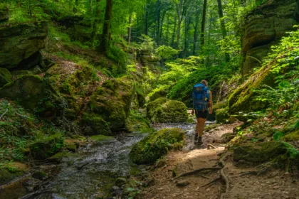 Mullerthal trail Luxemburg