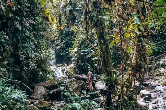 Bijzondere reis Ecuador Mindo